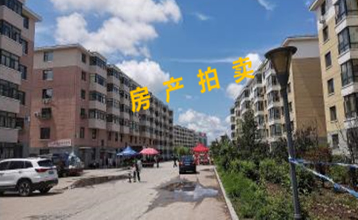 宿迁市宿城区蔡集镇徐洼村原村部房产拍卖公告